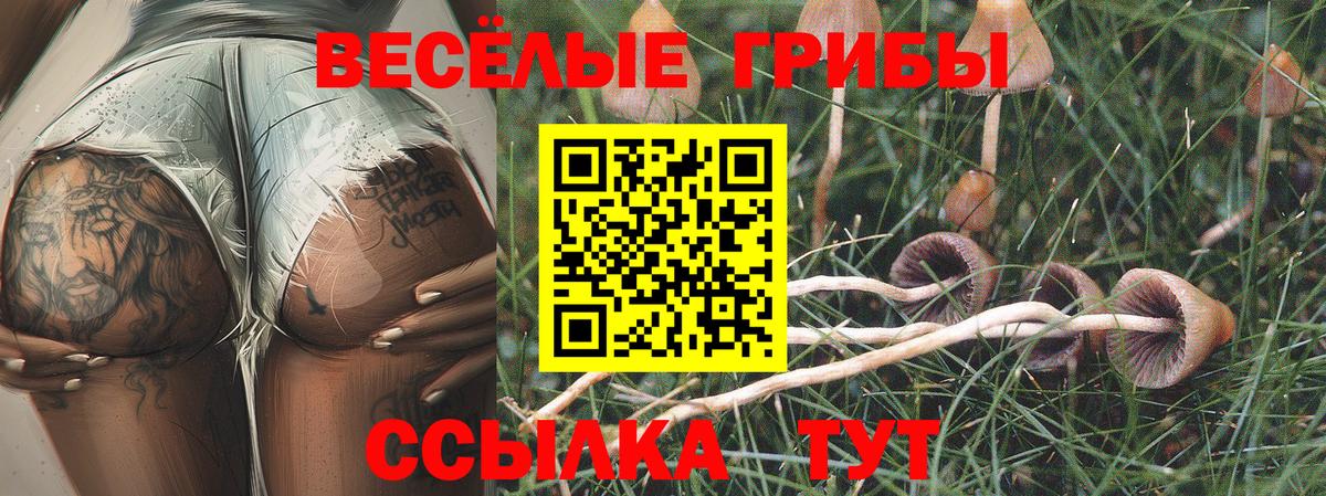 Псилоцибиновые грибы Psilocybe  Балаково 