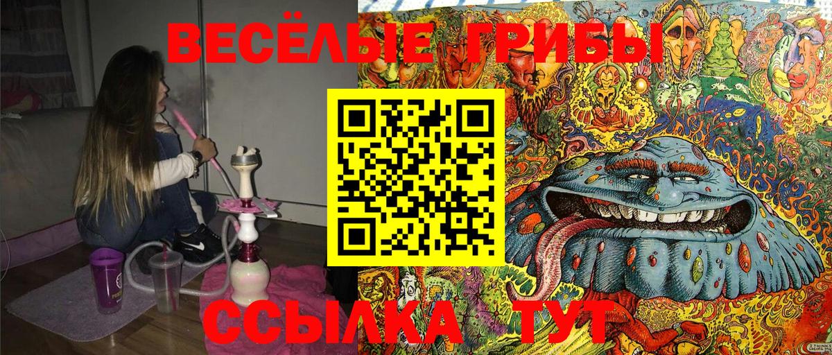 Псилоцибиновые грибы ЛСД  Вход с VPN  Псилоцибиновые грибы Magic Shrooms  Балаково 
