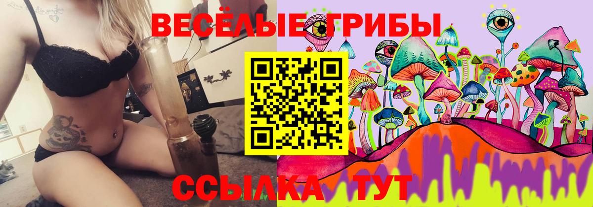 Псилоцибиновые грибы ЛСД Балаково