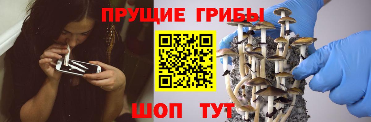 Псилоцибиновые грибы GOLDEN TEACHER Балаково